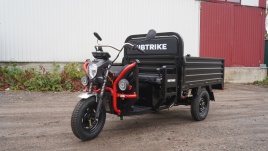 Грузовой электротрицикл Sibtrike PRO Cargo