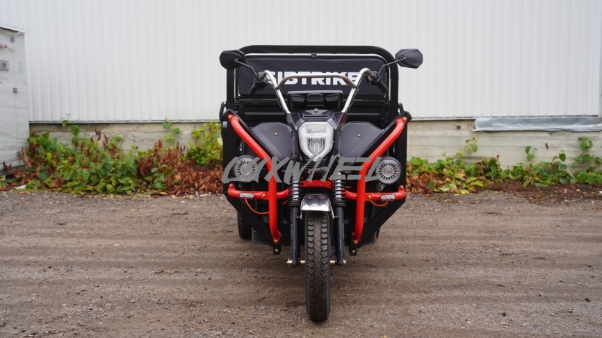 Грузовой электротрицикл Sibtrike PRO Cargo фото 9
